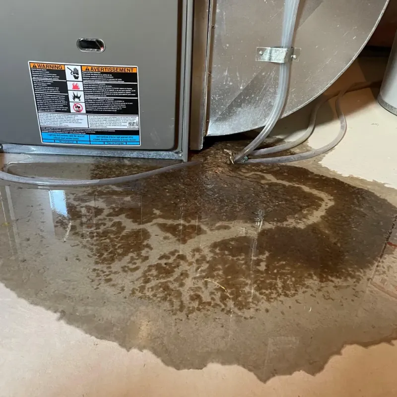 Appliance Leak Cleanup in Mountain View, HI