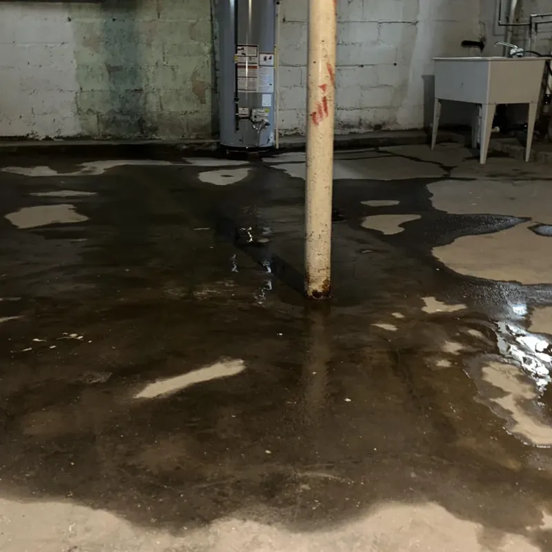 Emergency Water Extraction And Removal in Mountain View, HI